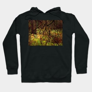 The Mystery of Stockhill Forest Hoodie